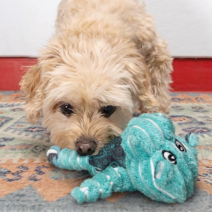 KONG Floppy Knots - Durable No‑Stuffing Squeaky Rope & Plush Dog Toy - for Teething, Playing (Hippo, X-Small)