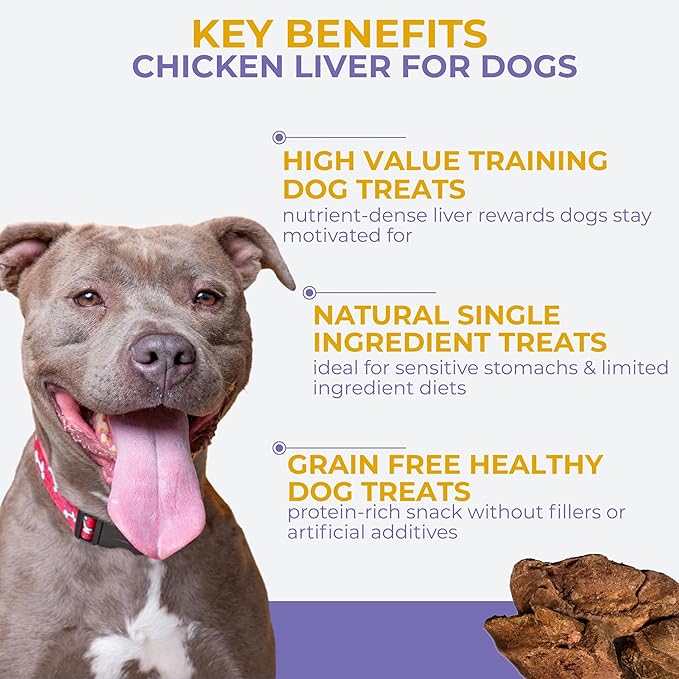 Momentum Carnivore Nutrition Freeze-Dried Chicken Liver Dog Treats & Cat Treats – Single-Ingredient, High-Protein, Grain-Free, Naturally Flavorful – Made in USA – 3.5 oz Bag