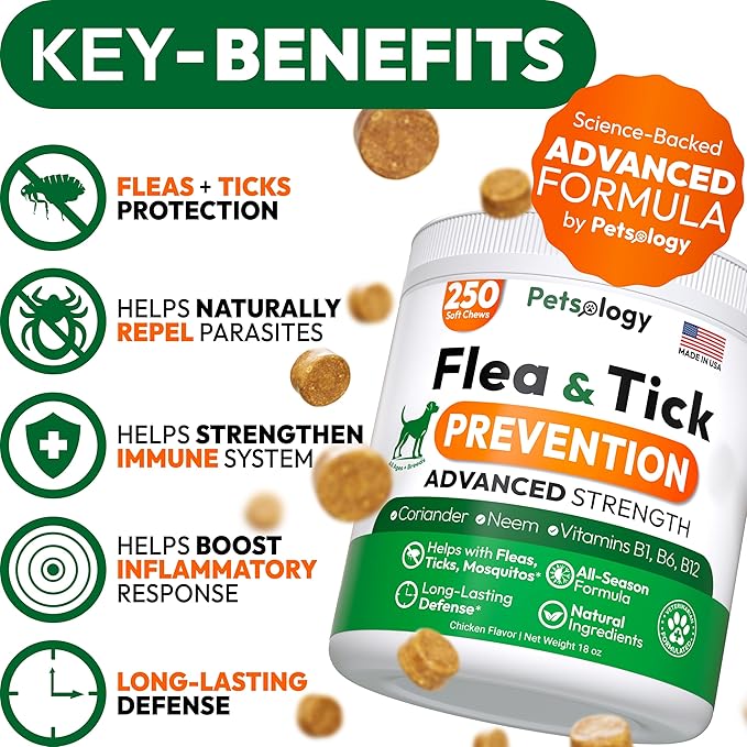 Flea and Tick Prevention for Dogs Pills - 250 Soft Chews - Natural Dog Flea & Tick Control - Oral Defense Treatment for Dogs Supplement - Vet Formulated Chews - All Breeds & Ages - Made in USA