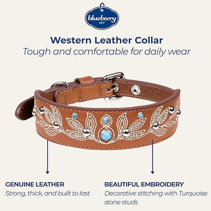 Blueberry Pet Western Dog Collar in Canyon Brown - 12-15 Inch Necks Floral-Embroidered Leather with Turquoise Studs, Adjustable