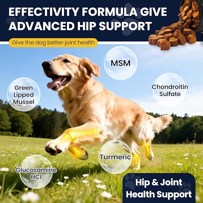 Hip and Joint Supplement for Dogs Dog Probiotics Glucosamine Chondroitin MSM Chew for Dog Arthritis Pain Relief Extend Joint Care, Probiotic for Digestive/Gut Health for Large/Small/Senior Breed Dogs