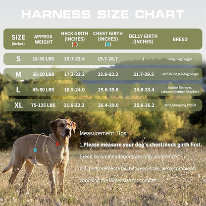 Small Dog Harness, Heavy Duty Tactical No Pull Dog Harness, No Choke, Easy On and Off Pet Vest with Molle System, Adjustable Reflective Dog Vest with Breathable Padded for Walking Hiking Training