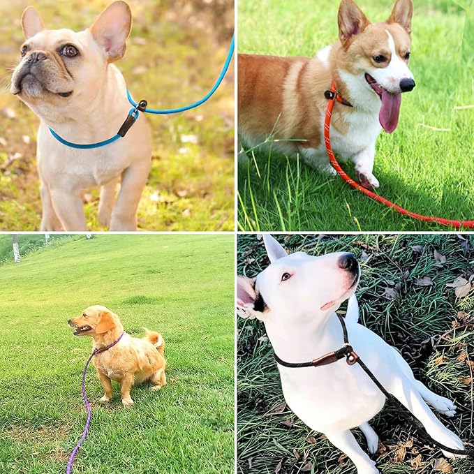 WYUZE 2 Pack 8 ft Slip Lead Dog Leash, Reflective No Pull Dog Training Lead, 1/3" Nylon Rope Slip Leash for Small Medium Dogs (Purple+Green)