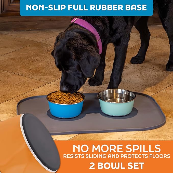 Master Pet Supply Stainless Steel Dog Bowls Set of 2 (32 Oz Each) with Non-Slip Rubber Base - Mango Tango - Basic Dog Food Bowl Water & Food Bowls for Small Medium Large Dogs & Cats, Metal Dish