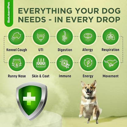 Natural Antibiotics for Dogs and Puppies | Antibiotics for Dogs of All Ages | Herbal Ingredients | Helps with Allergies and UTIs | for Balanced Digestion | Joint Care | Bacon Taste | 2 Oz