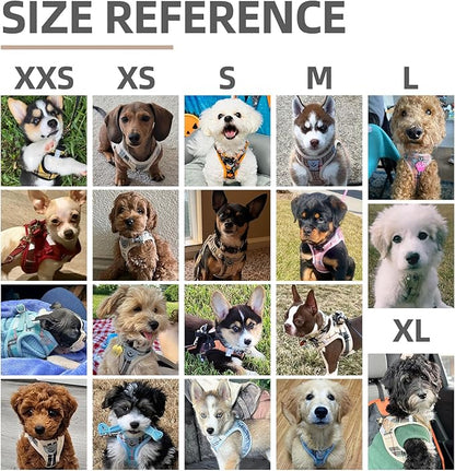 PUPTECK Adjustable Pet Harness Collar &Leash Set Step in for Small Dogs Puppy &Cats Outdoor Training &Running, Soft Mesh Padded Reflective Vest Harness,M: Chest girth: 16-18in Collar: 11.8-15.7in