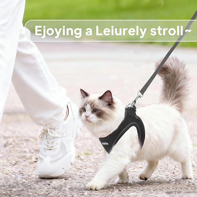 PetiFine Cat Harness and Leash Set,Escape Proof Kitten Harness Reflective,Soft Lightweight Puppy Harness for Walking and Travelling(XXS, Black)