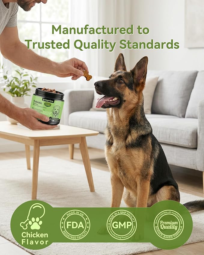 Probiotic Soft Chews for Dogs – Daily Gut & Digestive Support, Spore-Forming Probiotic with Multi-Strain Lactobacillus, Prebiotic Inulin/FOS, Chicken Flavor, 120 Chews