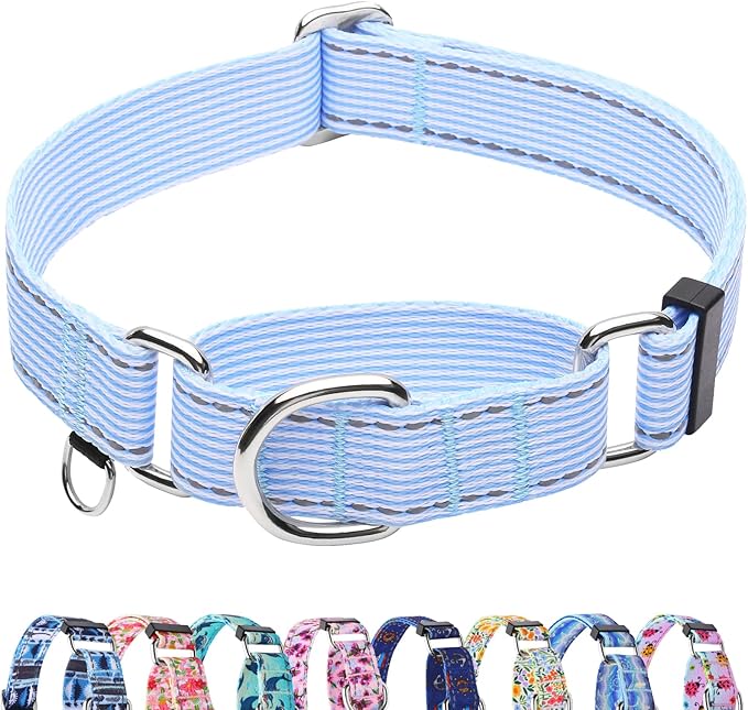 Reflective Martingale Collar for Dogs Nylon Training Collar with No Buckle, No Pull Escape Proof Dog Collar for Small Dogs（Blue Stripe，S）