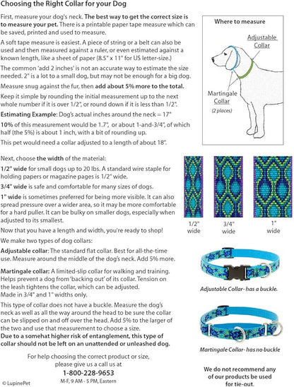 Lupine Reflective Dog Collar 3/4" Wide Blue Paws Adjusts from 13" to 22"