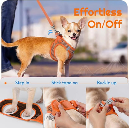 Eagloo Small Dog Harness and Leash Set, Step in Puppy Vest with Breathable Soft Mesh, Walking Reflective Pet Harness for Small Dogs, Orange, M