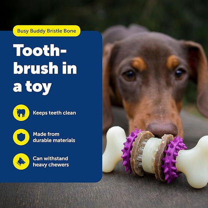 PetSafe Busy Buddy Bristle Bone Dog Chew Toy - Promotes Dental Health - Durable Nylon & Rubber - Treat Dispensing Design - Interactive Play - Refillable Treat Rings Included