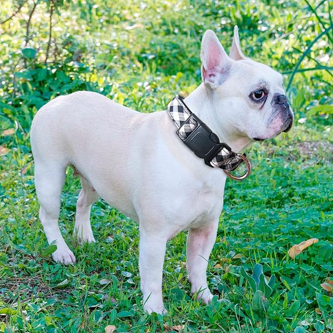 Ladoogo Reflective Dog Collar Padded with Soft Neoprene Breathable Adjustable Nylon Dog Collars for Small Medium Large Dogs (X-Small (Pack of 1), Black Plaid Collar+Leash)