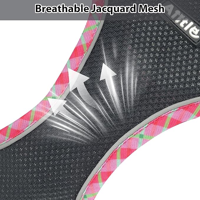 AIITLE Dog Harness and Leash Set - Ultra-Comfortable Vest with Strong Magic Tape & Glow-in-Dark Reflective Strips, Chafe-Free for Teddy, Schnauzer (Black, M)