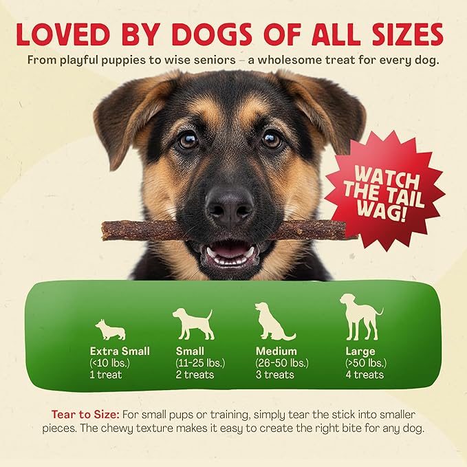 Chewmasters Beef Stix – Grass-Fed, Grain-Free, All-Natural High-Protein Dog Chews for Training & Rewards, Healthy Treats for All Breeds, Made in USA, 2lb Bag