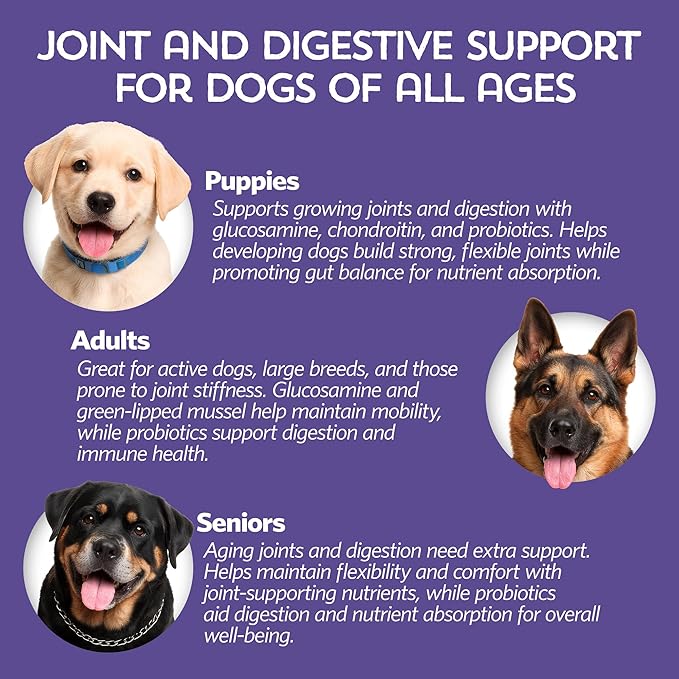 Fidobiotics Hip & Joint Support for Dogs with Probiotics – Glucosamine, Chondroitin, MSM & Green Lipped Mussel – Dog Joint Supplement Powder Food Topper for Mobility & Digestion (20 Servings)