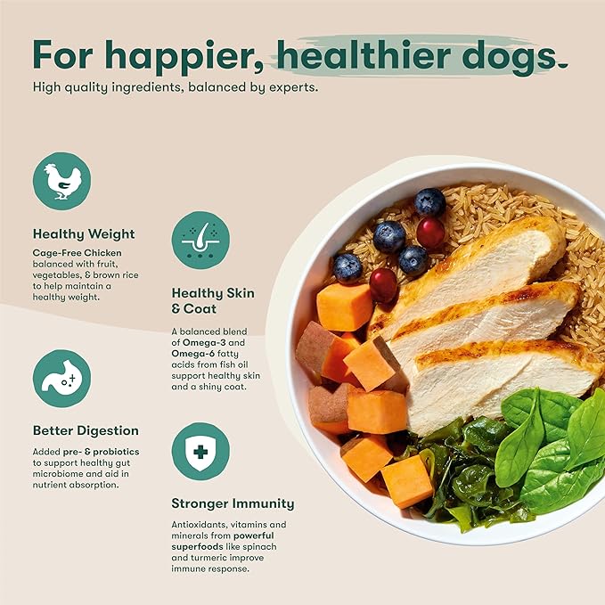 Jinx Premium Dry Dog Food, for All Lifestages - Real Chicken, Brown Rice & Sweet Potato Kibble with Superfoods for Immune Support & Probiotics for Digestive Support - No Fillers - 11.5lb