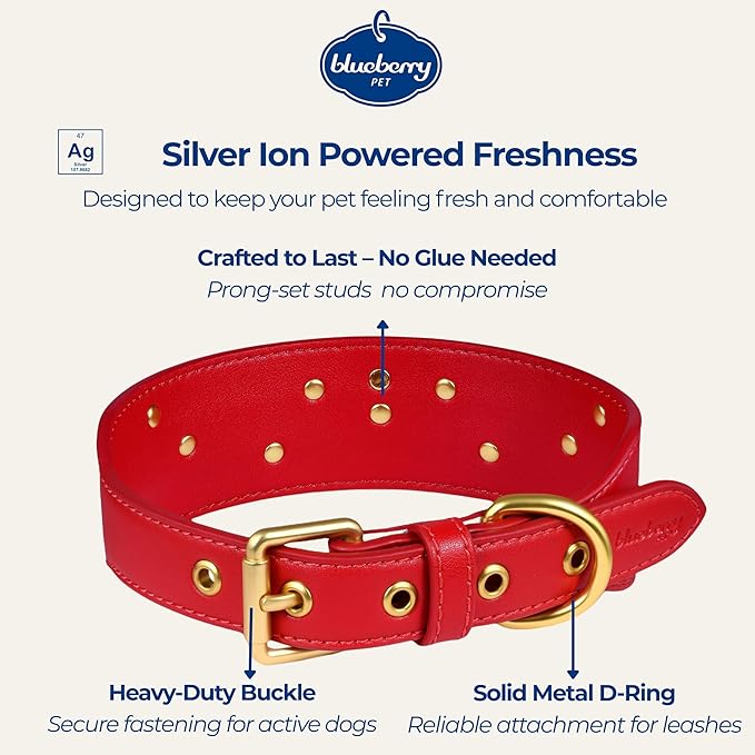 Blueberry Pet Premium Embossed Red Glam Silver-Powered Freshness Microfiber Leather Dog Collar with Gold Studs