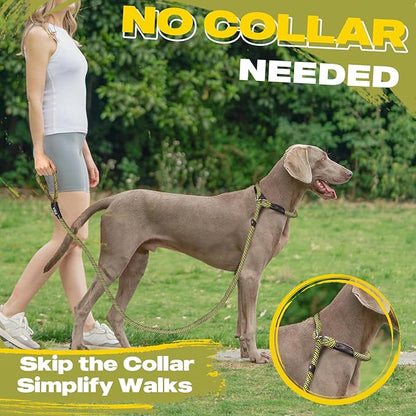 Fida Durable Slip Lead Dog Leash, 6 FT x 3/8" Heavy Duty Comfortable Strong Rope Slip Lead for Small Dogs and Puppies, No Pull Pet Training Leash with Highly Reflective (3/8", Yellow)