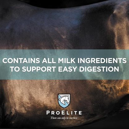 ProElite Foals First Milk Replacer Powder 22lb