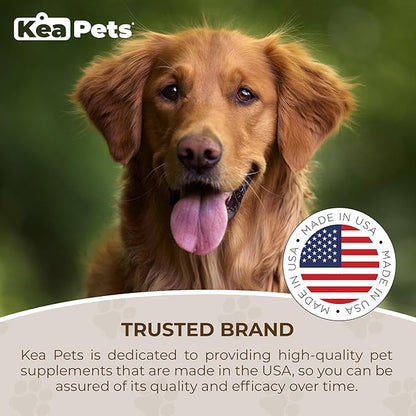 Doggie Condiments Pet Respiratory Support A Natural Dog Supplement for Optimal Dog Breathing, Clear Sinuses, Coughing, Sneezing and Congestion Relief for Dogs