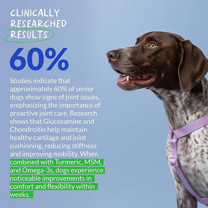 Hip and Joint Supplement for Dogs - with Collagen, Glucosamine for Dogs - Fish Oil - Green Lipped Mussel - Hip & Joint Support, Ease Inflammation, Antioxidant.