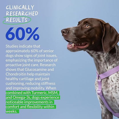Hip and Joint Supplement for Dogs - with Collagen, Glucosamine for Dogs - Fish Oil - Green Lipped Mussel - Hip & Joint Support, Ease Inflammation, Antioxidant.
