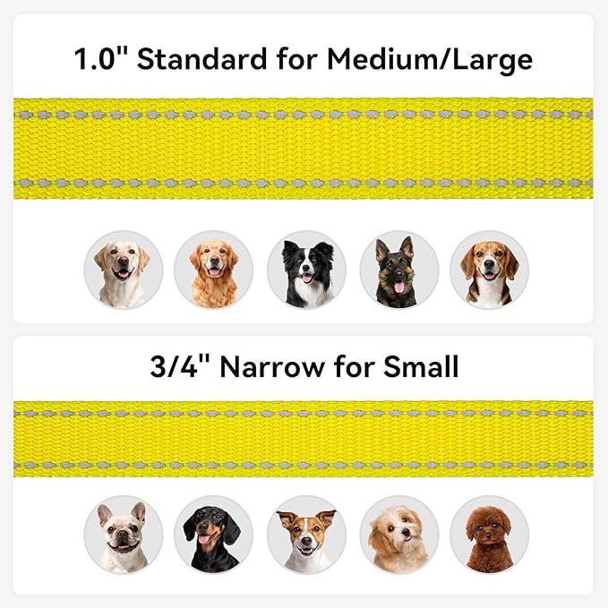 Joytale Dog Leash, 5 FT Double-Sided Reflective, Padded Handle Nylon Heavy Duty Leashes for Medium & Large Dogs Walking, Yellow