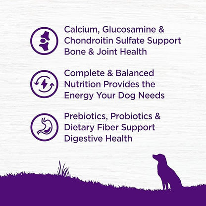 Wellness Complete Health Senior Dry Dog Food, Wholesome Grains, Natural, Age Advantage Chicken & Barley Recipe, (30-Pound Bag)