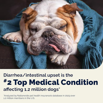 Vetnique Glandex Rapid Digestive Support for Dogs with Loose Stool | Diarrhea - Probiotics and Pumpkin for Dogs to Help Firm Dog Poop - 25 Chicken Flavored Soft Chews (25ct, Anti-Diarrhea)