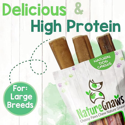 Nature Gnaws Extra Large Bully Sticks for Dogs 11-12" (3 Count) - Thick Long Lasting for Aggressive Chewers and Heavy Chewers - Natural Beef Dog Chew Bones