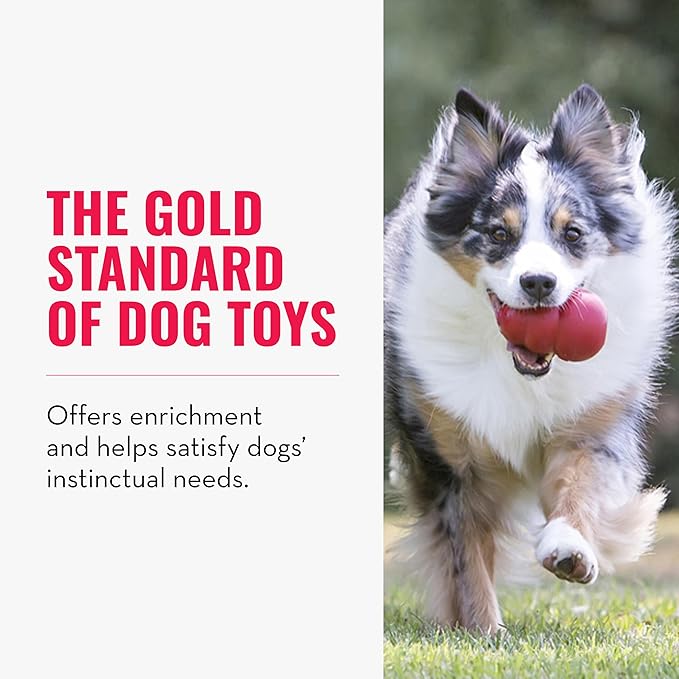 KONG Classic Stuffable Dog Toy - Fetch & Chew Toy for Dogs - Treat-Filling Capabilities & Erratic Bounce for Extended Play Time - Durable Natural Rubber Material - for Small Dogs