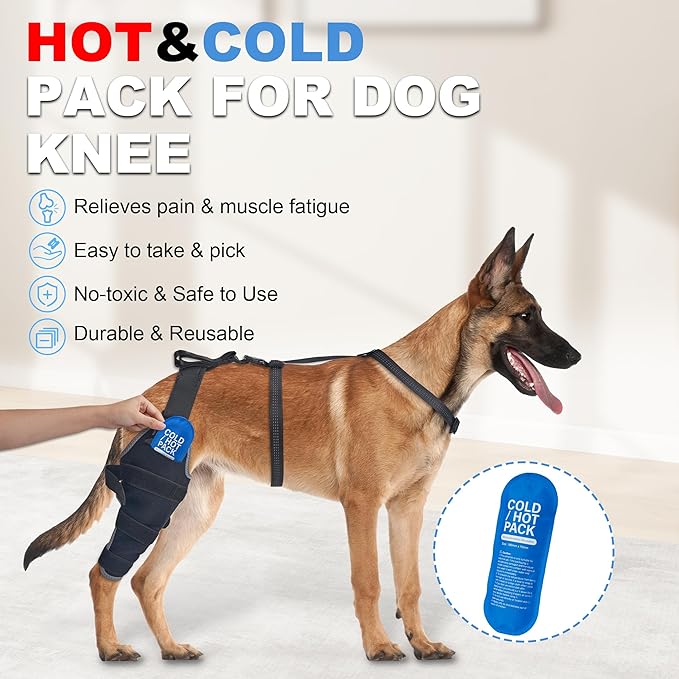 Dog Knee Brace for Torn ACL Hind Leg, Dog Leg Braces with Hot/Cold Gel Packs, Helps with Joint Stiffness and Ligament Injuries, Rear Right Leg, M