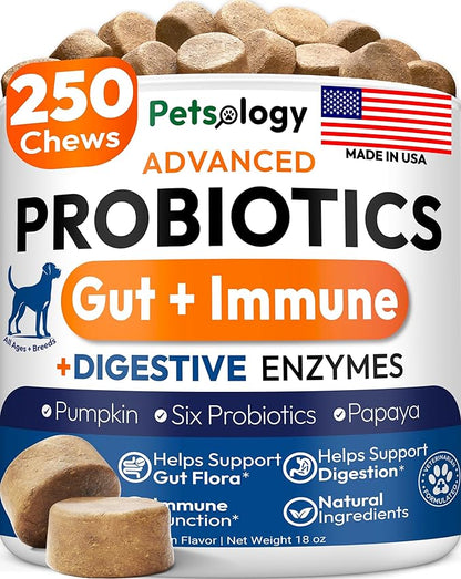 Probiotics for Dogs - 250 Dog Probiotics Chews - Digestive Enzymes & Prebiotics - Support Gut Health, Diarrhea, Gas & Constipation Relief - Itchy Skin, Allergies, Yeast Balance - Advanced Supplement