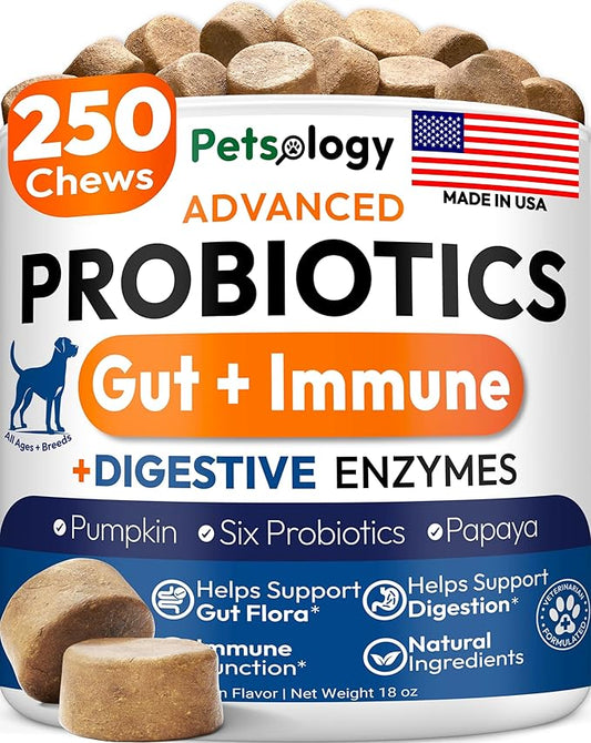Probiotics for Dogs - 250 Dog Probiotics Chews - Digestive Enzymes & Prebiotics - Support Gut Health, Diarrhea, Gas & Constipation Relief - Itchy Skin, Allergies, Yeast Balance - Advanced Supplement