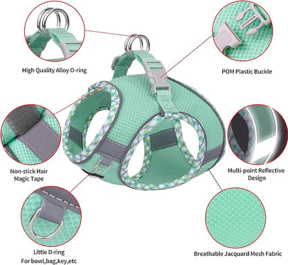 AIITLE Teacup Puppy Harness with Leash - Adjustable Soft Vest with Magic Tape & Reflective Safety Strips, Easy-Put-On for Poodles, Pomeranians - Gym, Hiking, Travel (Turquoise, S)