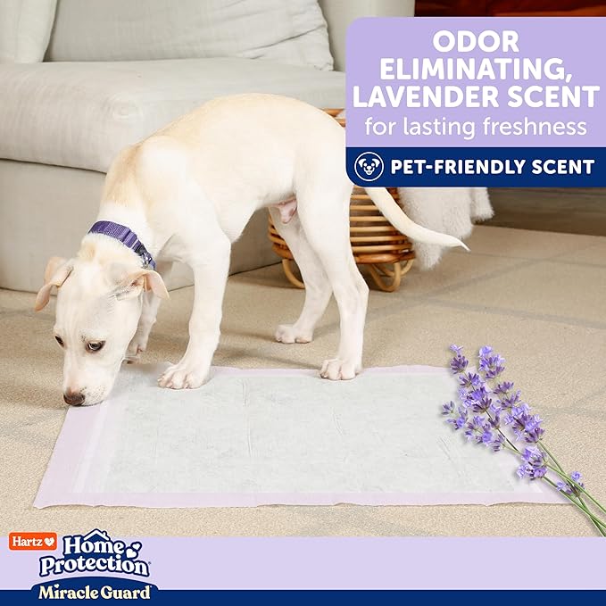 Hartz Miracle Guard Dog and Puppy Dog Pads Max Absorbency 24 Hour Use Odor Eliminating Lavender Scented No Leaks, X-Large Size 30 Count