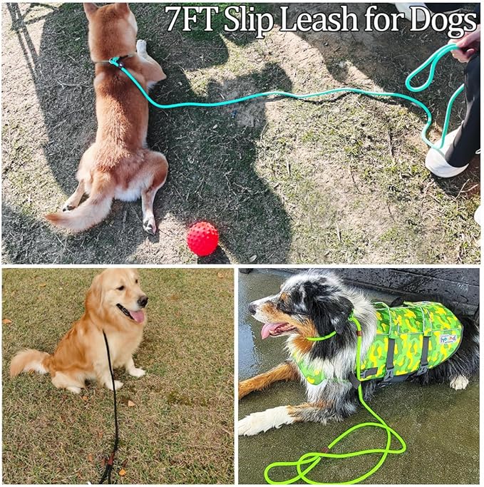 MayPaw Slip Lead Control Leash for Dogs No Pull, 13+ Colors Classic Dog Lead 7FT Pet Slip Leash, 1/4” Rope Leashes for Small Medium Animals Purple