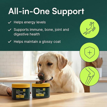Wuffes 23-in-1 Dog Multivitamin Supplement for Hip & Joint, Skin & Coat and Immune System Support with Omega 3, Iron, Zinc, Vitamin C - Minerals & Vitamins for Senior Dogs and Puppies - 60 Soft Chews