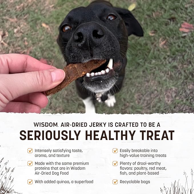 Earth Animal Wisdom Air Dried Jerky - Chicken Recipe Premium Natural Jerky Strips Dog Treats - 3 Pack 4 oz Bag