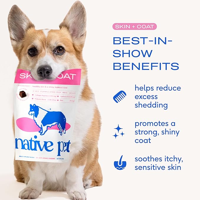 Native Pet Skin & Coat Chews - Omega 3 Fish Oil for Dogs Skin & Coat Supplement - Itch Relief, Shiny Fur & Shedding Support - Collagen, Hyaluronic Acid, Biotin, Probiotics & Salmon Oil - 120 Chews