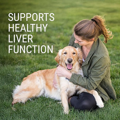 Nutramax Laboratories Denosyl for Dogs, Liver and Brain Health Supplement for Large Dogs, with S-adenosylmethionine (SAMe), Stabilized Tablets, 30 Count
