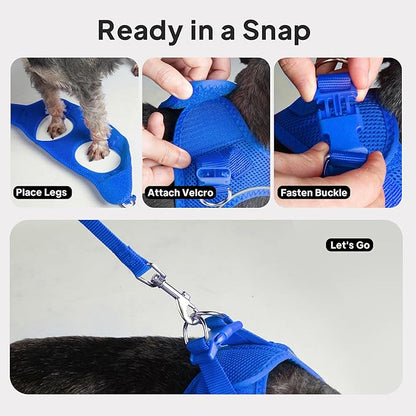 PetiFine Step in Small Dog Harness and Leash Set, Breathable All Weather Air Mesh Reflective Escape Proof, Step-in Vest Harnesses for Puppy(XS, Baby Blue)