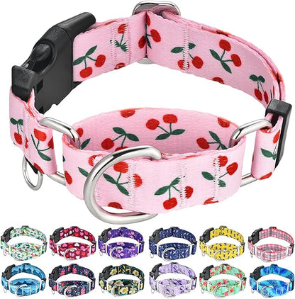 Martingale Collar for Small Dogs with Buckle No Pull Cute Girl Pink Dog Collars (Cherry, Small)