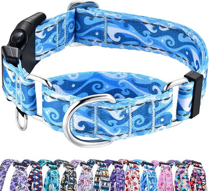 Reflective Martingale Collar with Quick Release Buckle Anti Pulling Boy Male Adjustable Dog Collars (Blue Waves, XSmall)