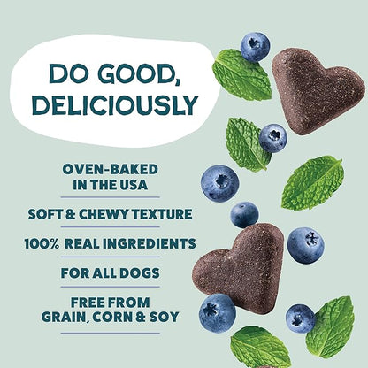 Shameless Pets Soft-Baked Dog Treats, Blueberried Treasure - Natural & Healthy Dog Chews with Mint for Immune Support - Made in USA, Free from Grain, Corn & Soy - 1-Pack