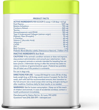 Native Pet Senior Daily Dog Vitamins & Supplements – 12-in-1 Dog Multivitamin Powder for Senior Dogs – Supports Mobility, Cognition, Digestion, Immune Health & More – 60 Scoops