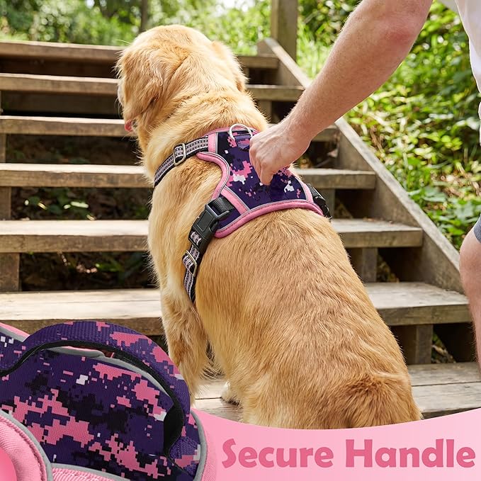 Funfox Dog Harness No Pull, Adjustable Pet Vest Harness, Super Soft Material with Vertical Handle Easy Control, Reflective Night Walking, 2 Leash Clips for Medium Sized Dogs, Mosaic Pink, M