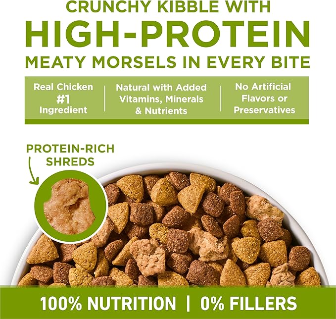 Purina ONE Plus Whole Body Support with Chicken Dry Dog Food - 16.5 lb. Bag