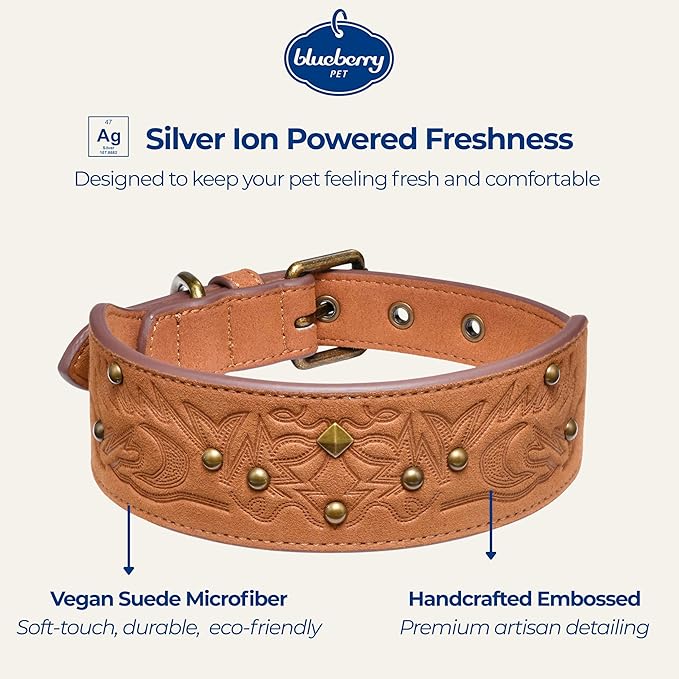 Blueberry Pet Premium Embossed Silver-Powered Freshness Microfiber Suede Leather Dog Collar in Saddle Brown